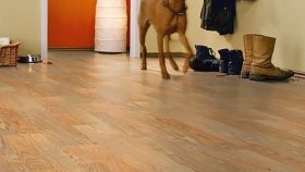 Избор на ламинат