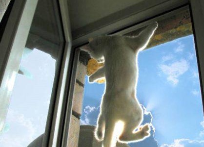 pvc мрежа за дограма