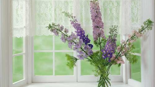 прозорците плачат