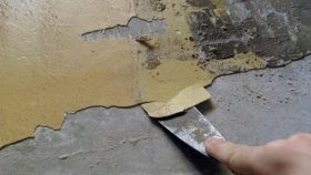 steny-okrashennye-kraskoj