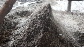 Фибран в полусуха замазка