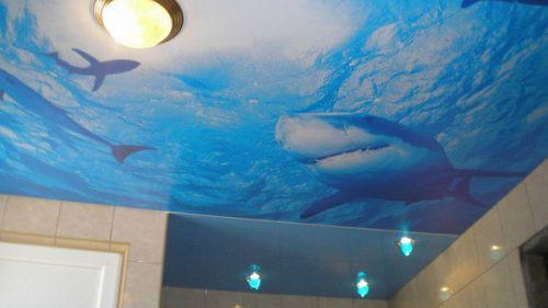 Натягное Полотно срещу Ваной