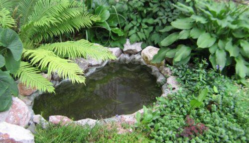 снимка на декоративно езерце направи си сам