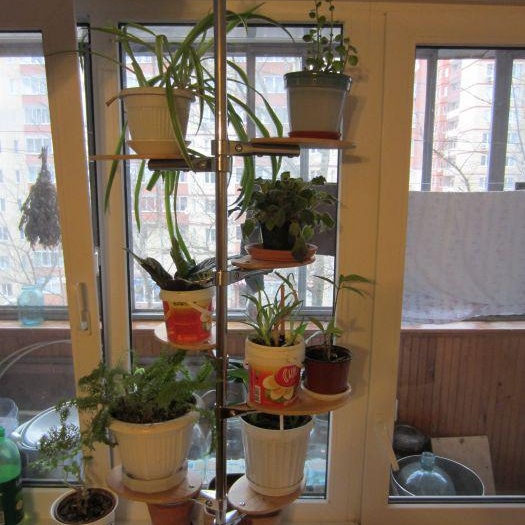 Саксия на перваза на прозореца