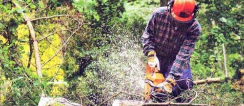 Правила на електрическия трион