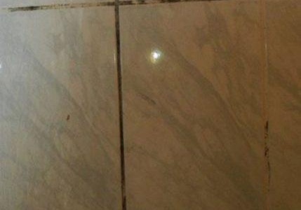 замърсяване на шевове и поражение гр