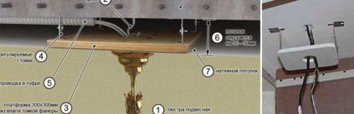поправи полилея