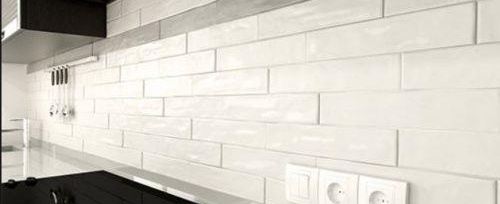 правоъгълна гръбна плоча