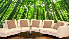 Как да залепите фото стенописи правилно, залепете стени със стенописи, залепете стенописи върху стени