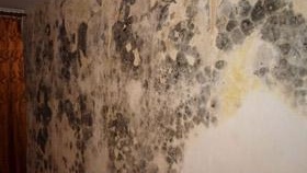 Как да убием гъбичките по стените