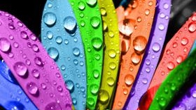 Каква боя да изберете за тавана