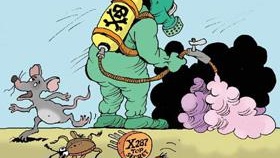 Най-доброто ефективно средство за домашни черни хлебарки в апартамента