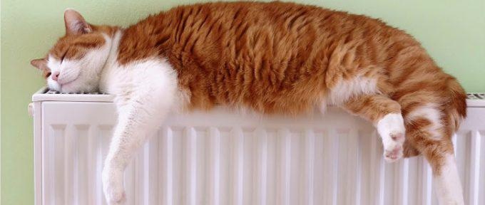 батерия кат