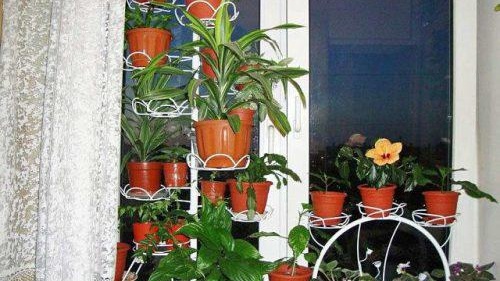 Стойка за цветя на прозореца