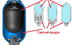 принципиална