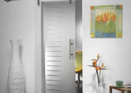 raznovidnosti-steklyannyx-dverej4