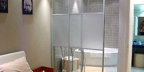 raznovidnosti-steklyannyx-dverej6