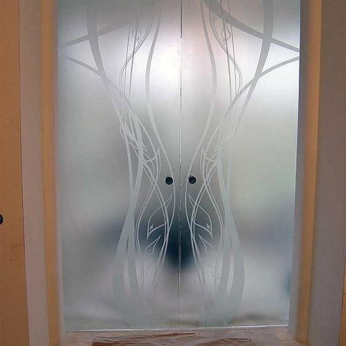 raznovidnosti-steklyannyx-dverej8