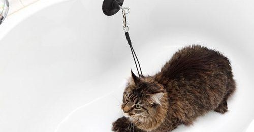 Грижа за акрилна вана