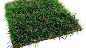 полева снимка. парче земя