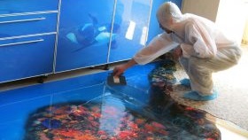 texnologii-polimernyx-nalivnyx-polov