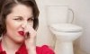Защо тоалетните миришат лошо и как да отстраните проблема
